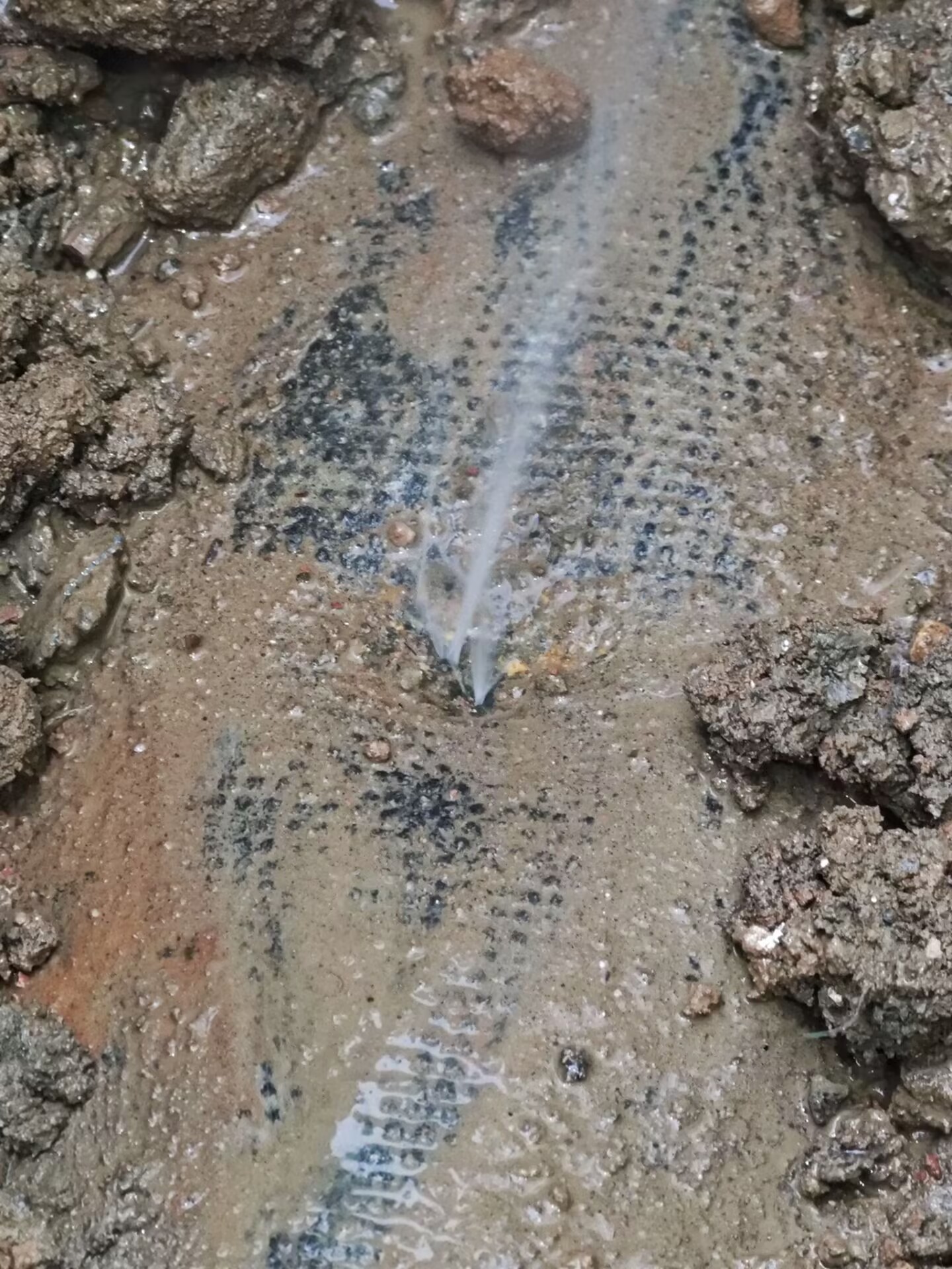 泰州管道漏水检测